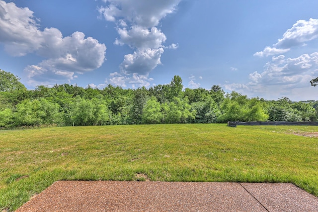 1493 Eden Rose Pl, Nolensville, TN 37135 - photo 54