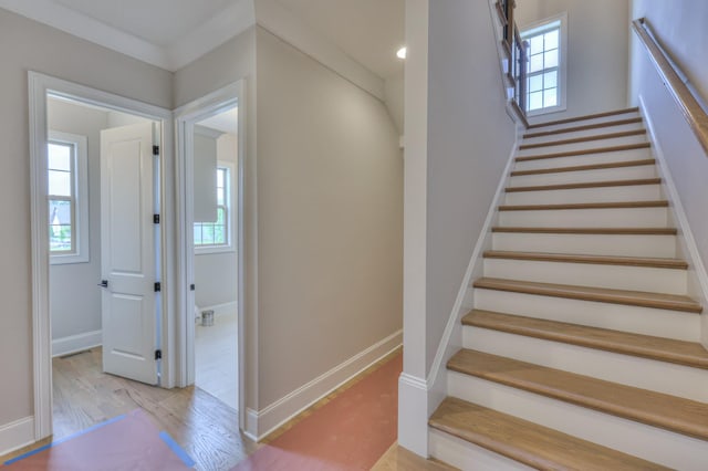 1493 Eden Rose Pl, Nolensville, TN 37135 - photo 32