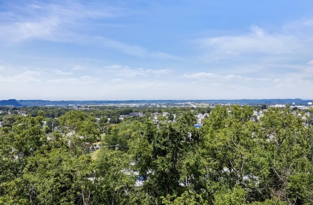 6012B Hill Cir, Nashville, TN 37209 - photo 46