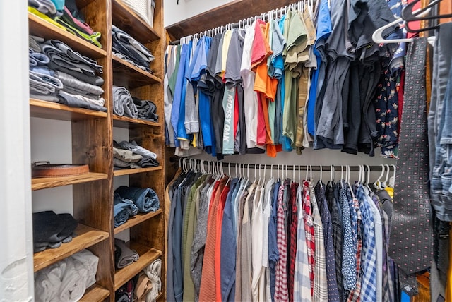 2386 Pleasant View Rd, Pleasant View, TN 37146 - view of walk in closet