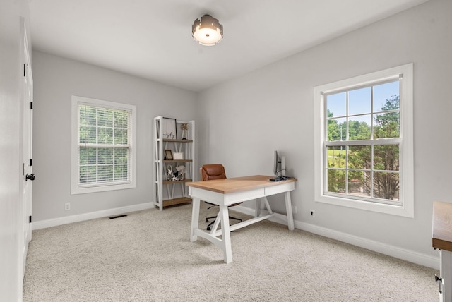 2386 Pleasant View Rd, Pleasant View, TN 37146 - office area featuring baseboards and carpet