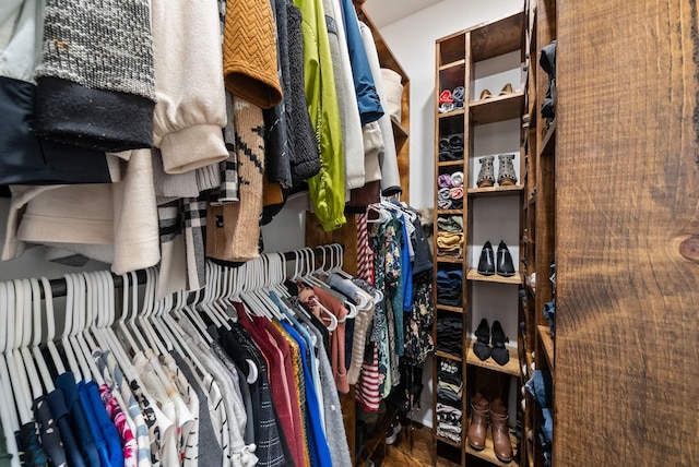 2386 Pleasant View Rd, Pleasant View, TN 37146 - view of spacious closet
