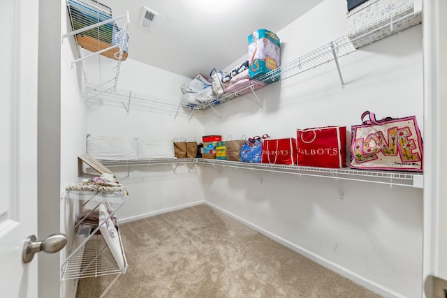 2438 Duxbury Dr, Columbia, TN 38401 - walk in closet featuring carpet flooring