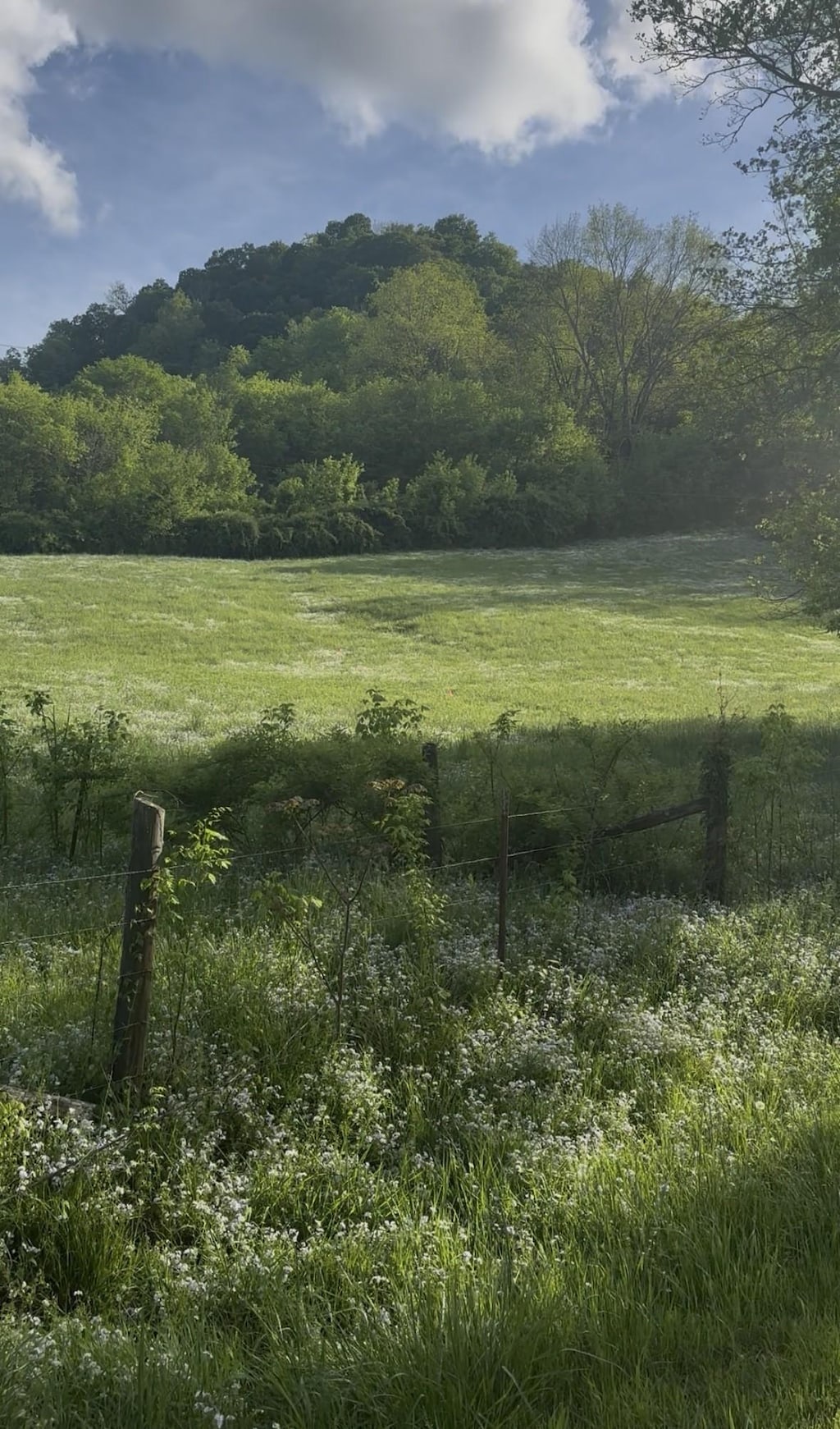 0 Little Salt Lick Rd, Carthage, TN 37030 - photo 3