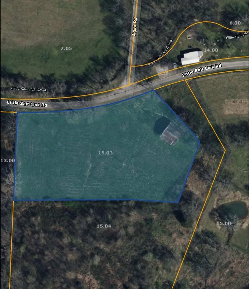 0 Little Salt Lick Rd, Carthage, TN 37030 - photo 4