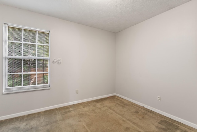 521 Bellmore Pl, Nashville, TN 37209 - photo 6