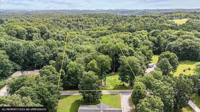 0 Old Sams Creek Rd, Pegram, TN 37143