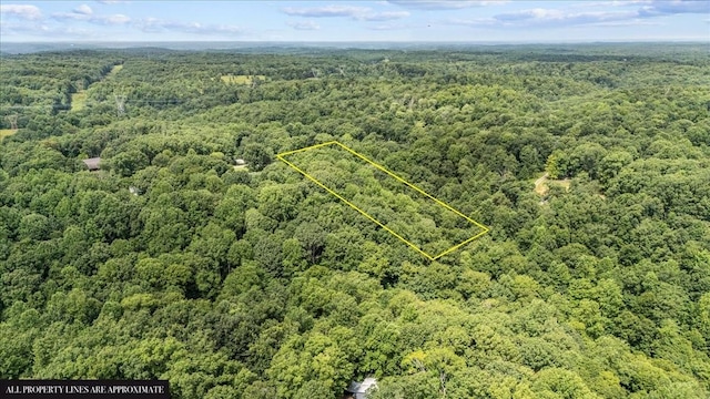 0 Old Sams Creek Rd, Pegram, TN 37143