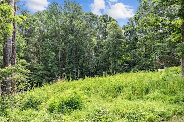 0 Old Sams Creek Rd, Pegram, TN 37143