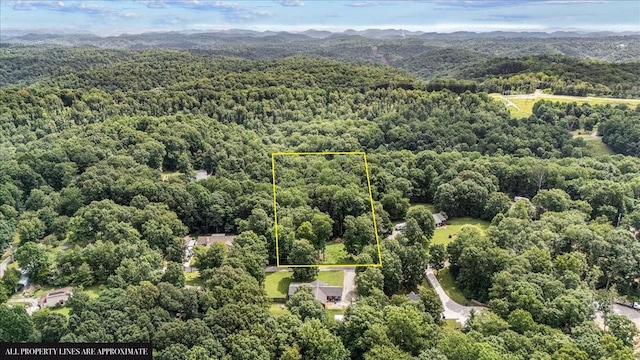 0 Old Sams Creek Rd, Pegram, TN 37143