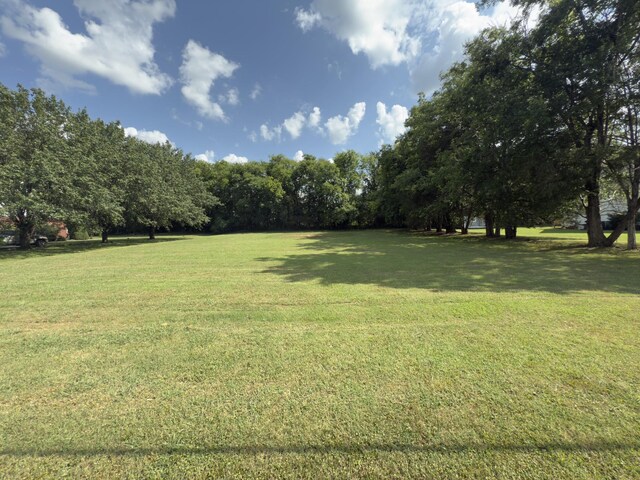 213 Ramsey Rd, Murfreesboro, TN 37127 - view of green lawn