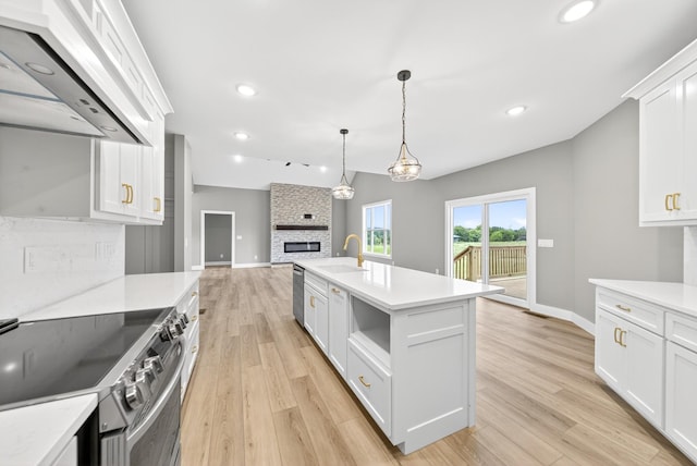 1263 N Sumner Rd, Bethpage, TN 37022 - kitchen featuring appliances with stainless steel finishes, extractor fan, open floor plan, light countertops, and light wood-type flooring