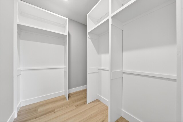 1263 N Sumner Rd, Bethpage, TN 37022 - spacious closet with light wood finished floors