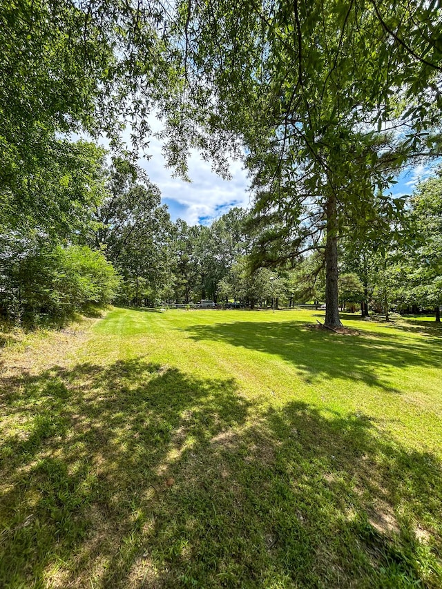 0 Hawkins Ln, Huntingdon, TN 38344 - photo 4
