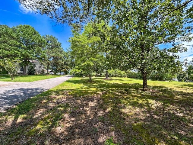 0 Hawkins Ln, Huntingdon, TN 38344 - photo 5