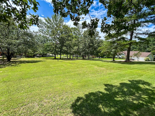 0 Hawkins Ln, Huntingdon, TN 38344 - photo 3