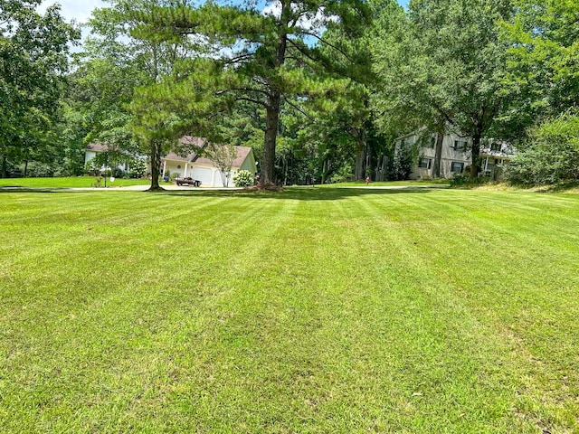 0 Hawkins Ln, Huntingdon, TN 38344 - photo 2