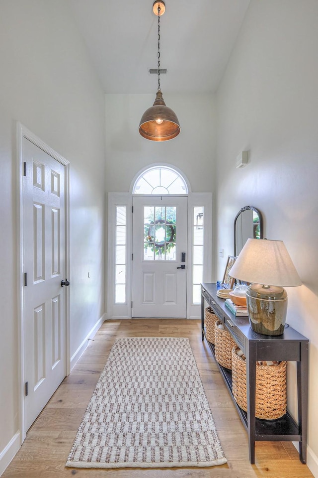 2808 Lafayette Dr, Thompsons Station, TN 37179 - foyer featuring a towering ceiling and light wood-style floors