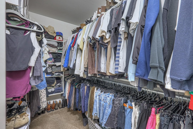 2808 Lafayette Dr, Thompsons Station, TN 37179 - spacious closet with carpet floors