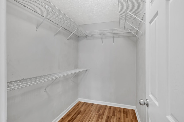 3313 Monoco Dr, Spring Hill, TN 37174 - spacious closet with wood finished floors