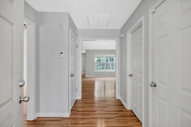 3313 Monoco Dr, Spring Hill, TN 37174 - hallway with baseboards and light wood finished floors