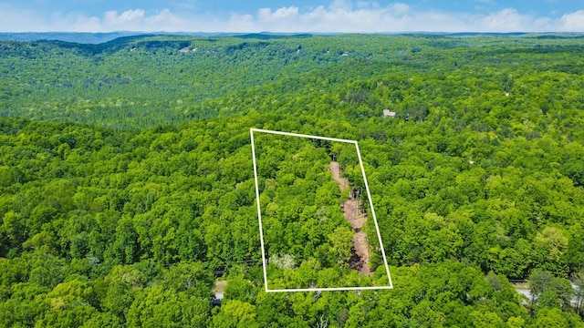 540 Cumberland Cove Rd, Monterey, TN 38574