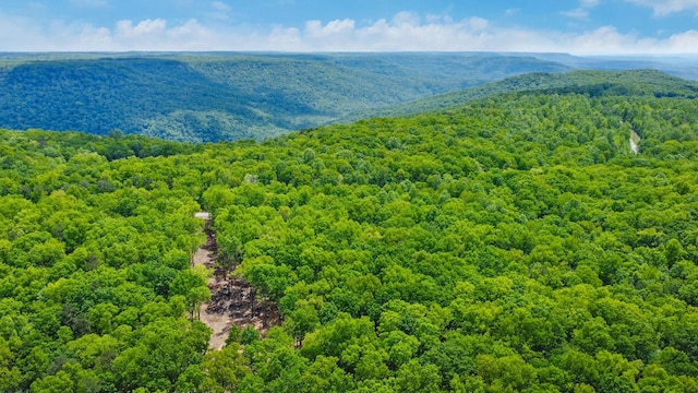 540 Cumberland Cove Rd, Monterey, TN 38574