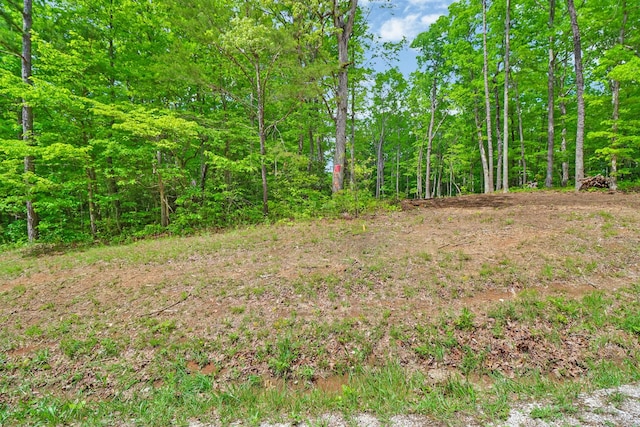 540 Cumberland Cove Rd, Monterey, TN 38574