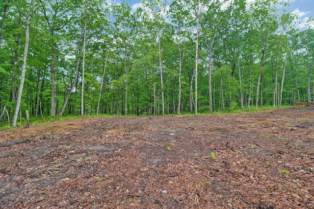 540 Cumberland Cove Rd, Monterey, TN 38574