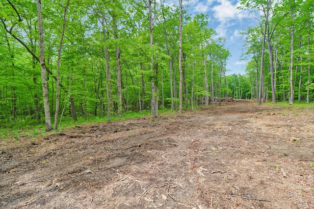540 Cumberland Cove Rd, Monterey, TN 38574