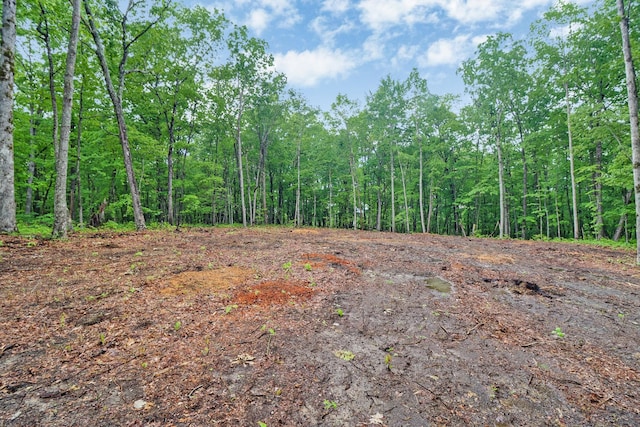 540 Cumberland Cove Rd, Monterey, TN 38574