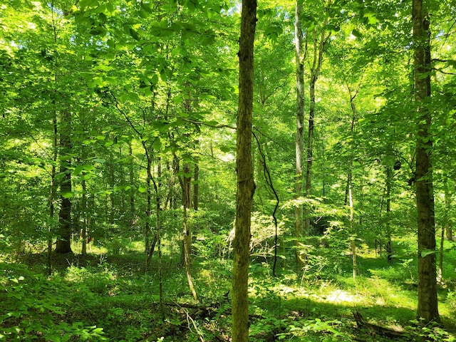 1 Indian Creek Rd, Dover, TN 37058 - photo 7