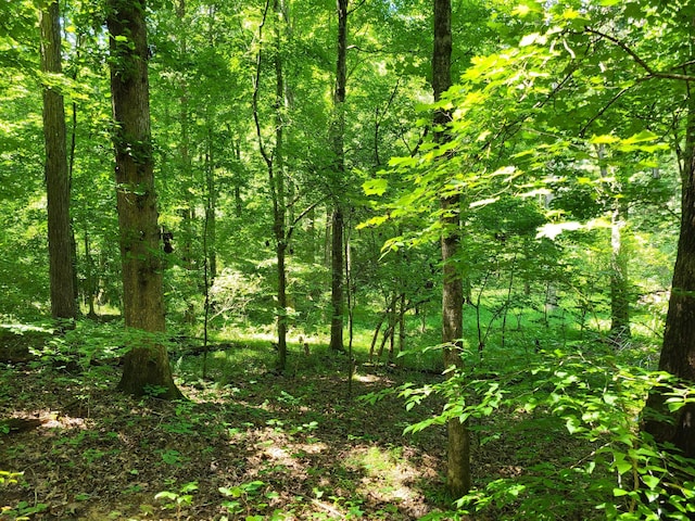 1 Indian Creek Rd, Dover, TN 37058 - photo 3