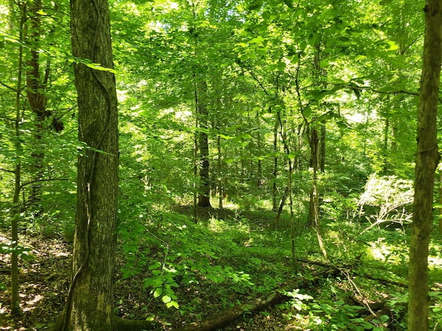 1 Indian Creek Rd, Dover, TN 37058 - photo 5