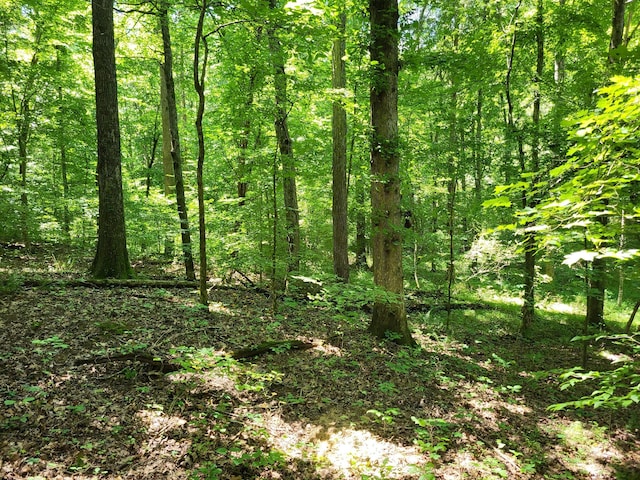 1 Indian Creek Rd, Dover, TN 37058 - photo 2