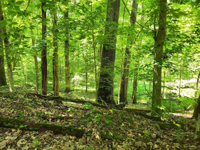 1 Indian Creek Rd, Dover, TN 37058 - photo 1