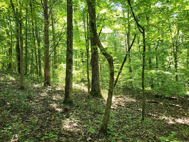1 Indian Creek Rd, Dover, TN 37058 - photo 8