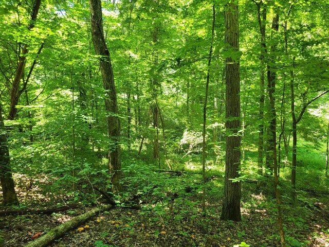 1 Indian Creek Rd, Dover, TN 37058 - photo 9
