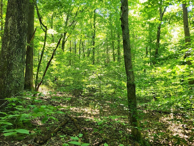 1 Indian Creek Rd, Dover, TN 37058 - photo 6