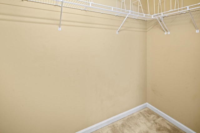655 Fleming Farms Dr, Murfreesboro, TN 37128 - photo 21