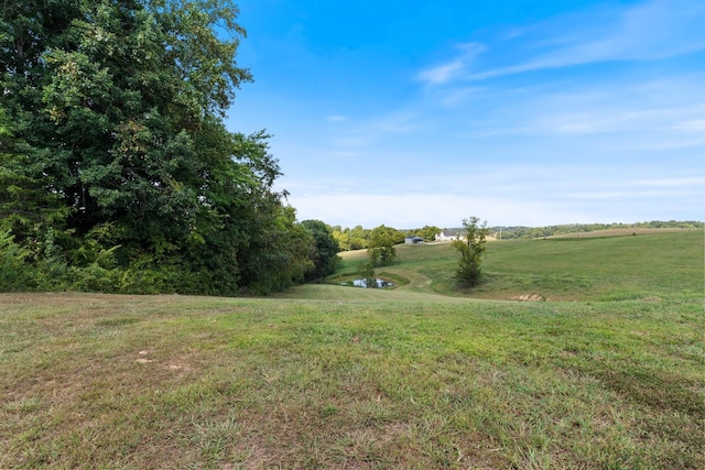 1020 Loggins Rd, Charlotte, TN 37036 - view of grassy yard featuring a water view