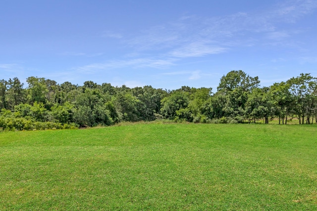 7100 Twelve Corners Rd, Lascassas, TN 37085 - photo 47