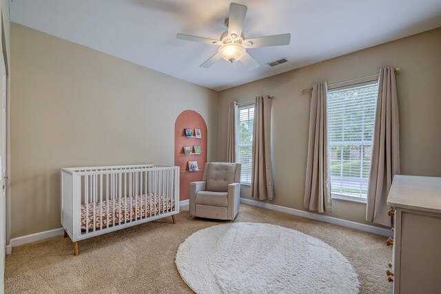 726 Cowan Dr, Nolensville, TN 37135 - photo 14