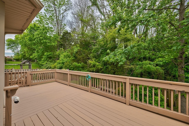 726 Cowan Dr, Nolensville, TN 37135 - photo 40