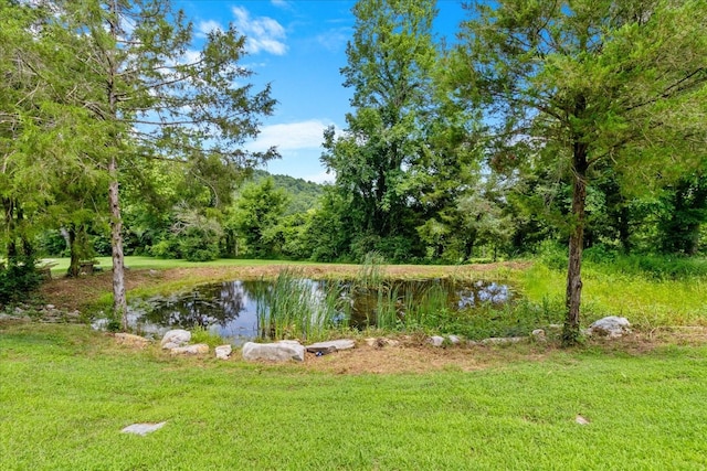 7230 Delina Rd, Petersburg, TN 37144 - photo 8