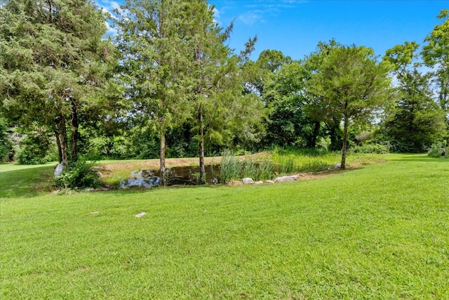 7230 Delina Rd, Petersburg, TN 37144 - photo 7