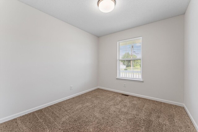 312 Lansinger Ln, Clarksville, TN 37042 - photo 23