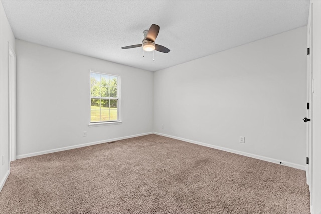 312 Lansinger Ln, Clarksville, TN 37042 - photo 20