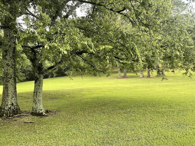0 Industrial Loop Rd, Pulaski, TN 38478