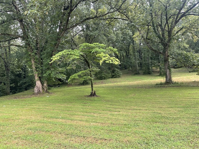 0 Industrial Loop Rd, Pulaski, TN 38478